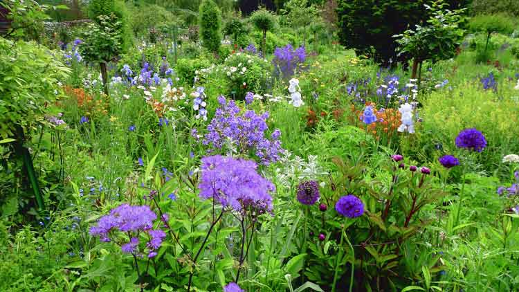 Giverny, Monet's meadow - Private Collection