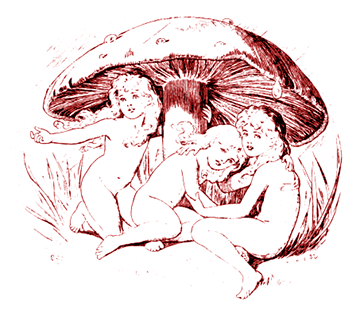LEWIS CARROL (1833-1893) Naissance d'une nymphette ou les Aventures Souterraines d'Alice (au Pays des Merveilles) LEWIS CARROL (1833-1893) Naissance d'une nymphette ou les Aventures Souterraines d'Alice (au Pays des Merveilles)
